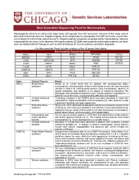 Macrocephaly Information Sheet 6-13-19