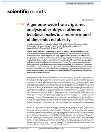 A Genome-Wide Transcriptomic Analysis of Embryos Fathered By