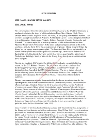 Site Synopsis