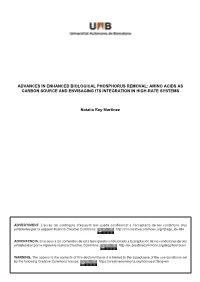 Amino Acids As Carbon Source and Envisaging Its Integration in High-Rate Systems