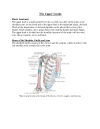 Brachial Plexus, Which Innervates the Upper Limb