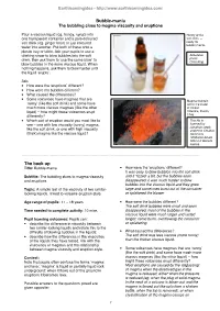 Bubble-Mania the Bubbling Clues to Magma Viscosity and Eruptions