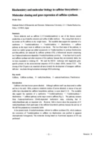 Molecular Cloning and Gene Expression of Caffeine Synthase