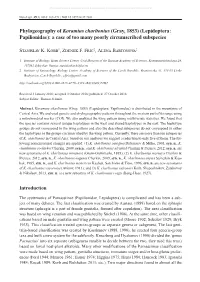 Phylogeography of Koramius Charltonius (Gray, 1853) (Lepidoptera: Papilionidae): a Case of Too Many Poorly Circumscribed Subspecies