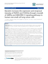 Baicalein Increases the Expression and Reciprocal Interplay of RUNX3