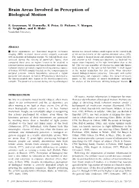 Brain Areas Involved in Perception of Biological Motion