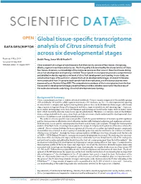 Global Tissue-Specific Transcriptome Analysis of Citrus Sinensis