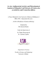 In Vitro Antibacterial Activity and Phytochemical Analysis of Ethanolic Leaf Extracts of Cnidoscolus Aconitifolius and Commelina Diffusa