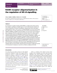 RANK Receptor Oligomerisation in the Regulation of Nfkb Signalling