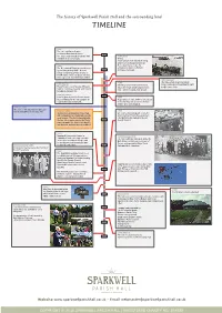 Timeline V004