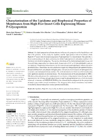 Characterization of the Lipidome and Biophysical Properties of Membranes from High Five Insect Cells Expressing Mouse P-Glycoprotein