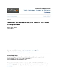 Functional Characterization of Microbial Symbiotic Associations by Metaproteomics