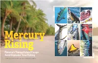 Panama's Tranquil Island Escape Amid Explosive Tuna Fishing