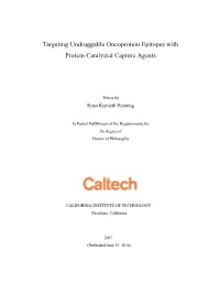 Targeting Undruggable Oncoprotein Epitopes with Protein Catalyzed Capture Agents