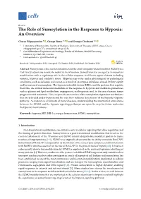 The Role of Sumoylation in the Response to Hypoxia: an Overview
