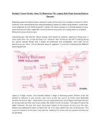 Budget Travel Guide: How to Maximise the Japan Rail Pass During Sakura Season