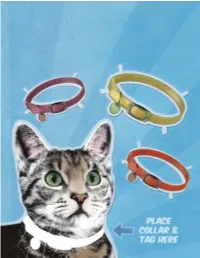 COLLARS and SENSE Stray and Lost Cats Fill Shelters (But a Movement to Identify Kitties Could Stem the Tide)