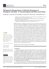 Optogenetic Manipulation of Olfactory Responses in Transgenic Zebrafish