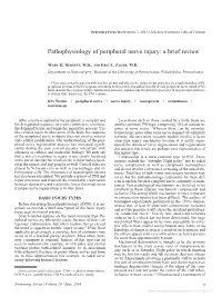 Pathophysiology of Peripheral Nerve Injury: a Brief Review