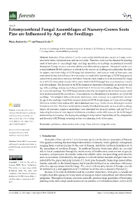 Ectomycorrhizal Fungal Assemblages of Nursery-Grown Scots Pine Are Inﬂuenced by Age of the Seedlings
