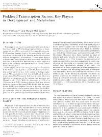 Forkhead Transcription Factors: Key Players in Development and Metabolism