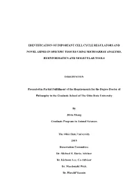 Identification of Important Cell Cycle Regulators And