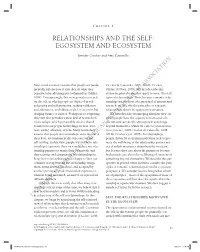 Relationships and the Self: Egosystem and Ecosystem