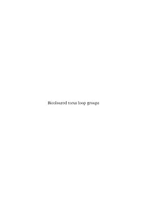 Bicoloured Torus Loop Groups