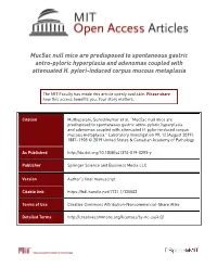 Muc5ac Null Mice Are Predisposed to Spontaneous Gastric Antro-Pyloric Hyperplasia and Adenomas Coupled with Attenuated H