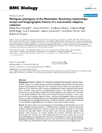 Multigene Phylogeny of the Mustelidae: Resolving Relationships