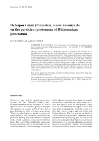 Octospora Mnii Pezizales, a New Ascomycete on the Persistent