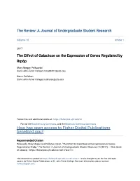 The Effect of Galactose on the Expression of Genes Regulated by Rrp6p