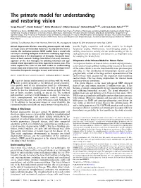 The Primate Model for Understanding and Restoring Vision