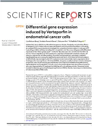 Differential Gene Expression Induced by Verteporfin in Endometrial