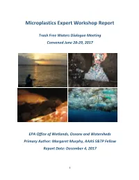 Microplastics Expert Workshop Report