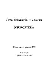 Neuroptera List