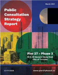 Public Consultation Strategy Report