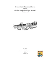 Species Status Assessment Report for the Carolina Madtom (Noturus Furiosus) Version 1.0