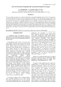 Four New Records of Eriophyids and Associated Phytoseiids from Egypt