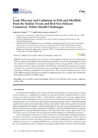 Lead, Mercury and Cadmium in Fish and Shellfish from the Indian Ocean and Red