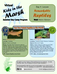 Reptiles Summer Day Camp Program Week: Nature Olympics