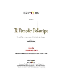 Il Piccolo Principe