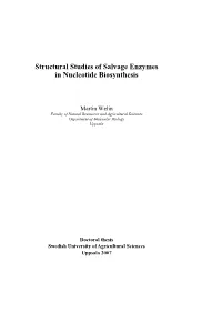 Style Specifications Thesis