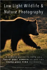 A Simple Guide to Help You Learn Your Camera So You Can Enjoy Your Time Outdoors