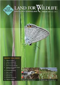 View Newsletter
