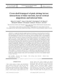 Cross-Shelf Transport of Pink Shrimp Larvae: Interactions of Tidal Currents, Larval Vertical Migrations and Internal Tides
