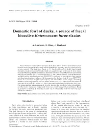 Domestic Fowl of Ducks, a Source of Faecal Bioactive Enterococcus Hirae Strains