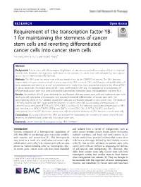 Requirement of the Transcription Factor YB-1 for Maintaining the Stemness