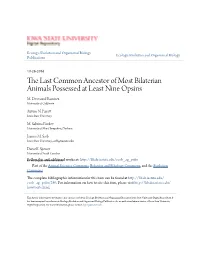 The Last Common Ancestor of Most Bilaterian Animals Possessed at Least Nine Opsins M