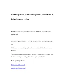 Learning Alters Theta-Nested Gamma Oscillations in Inferotemporal Cortex